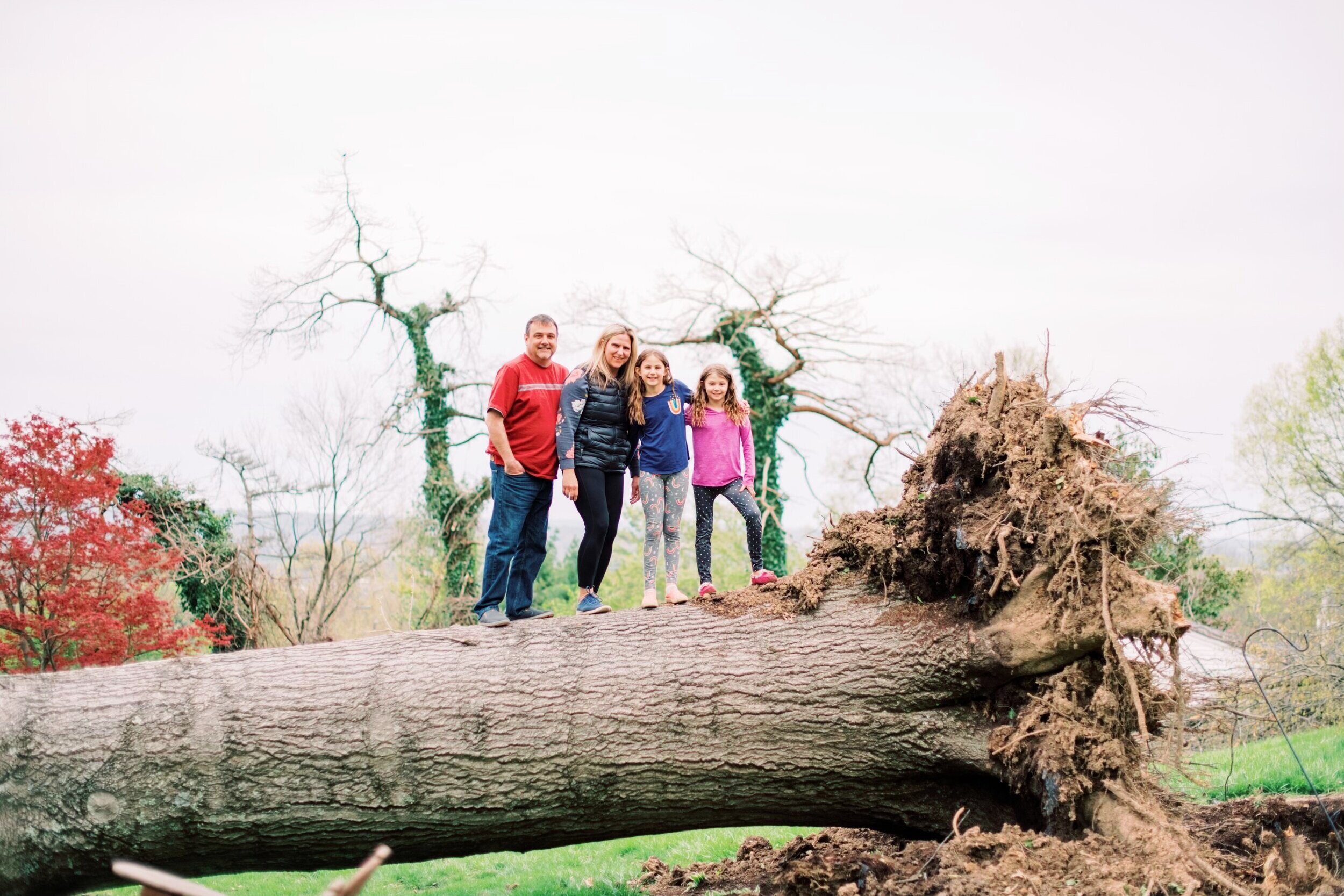 Wendel family atop tree that destroyed home
