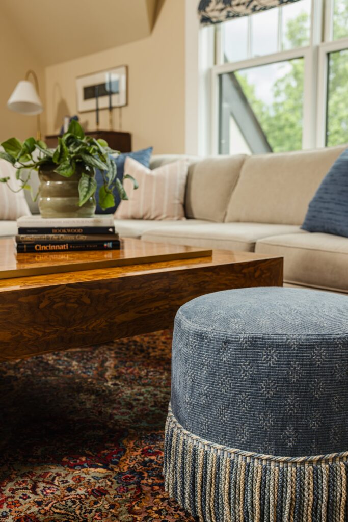 choosing furniture with pets